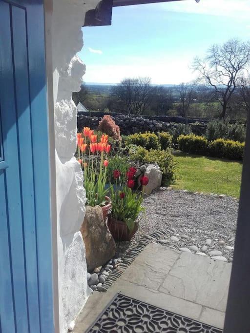 Traditional Stone Cottage With Sea Views In Snowdonia National Park Brynkir 외부 사진